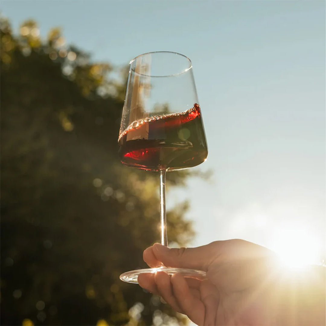 Come scegliere il bicchiere perfetto: guida per acqua, vino e mise en place elegante