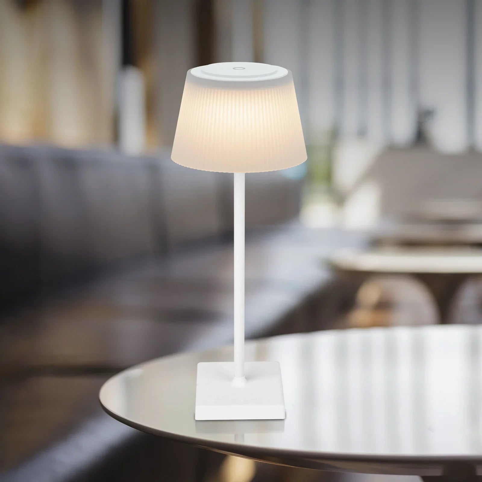 Albero Shop Sally