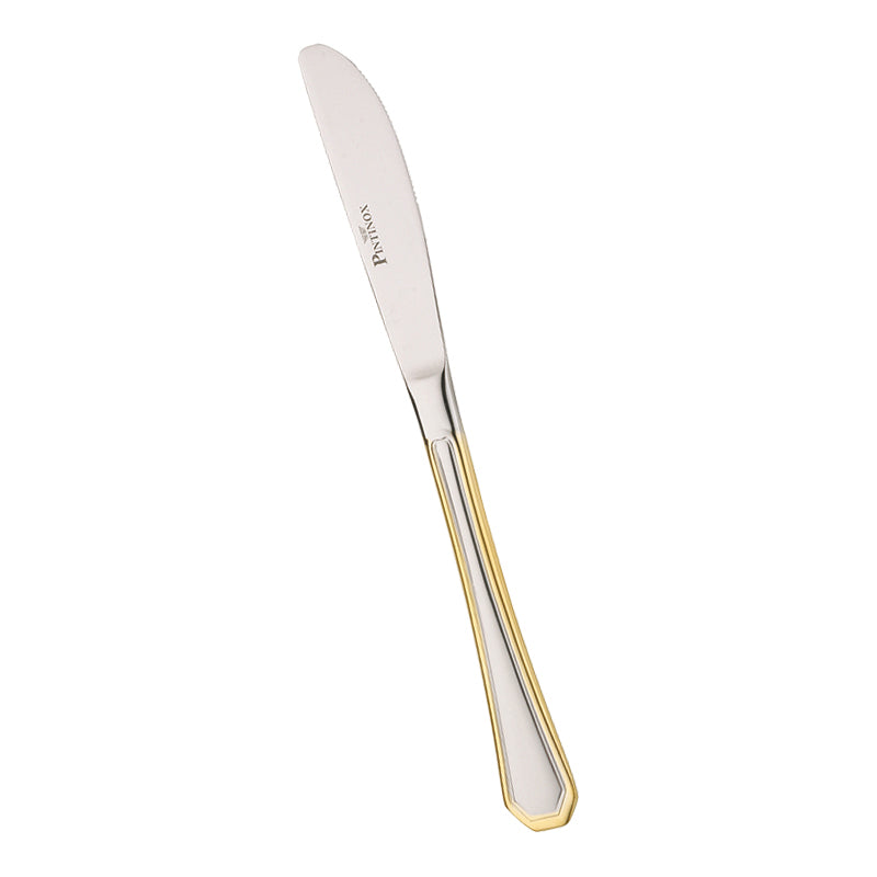 Pintinox America Coltello Tavola In Acciaio Inox Set 12 Pz