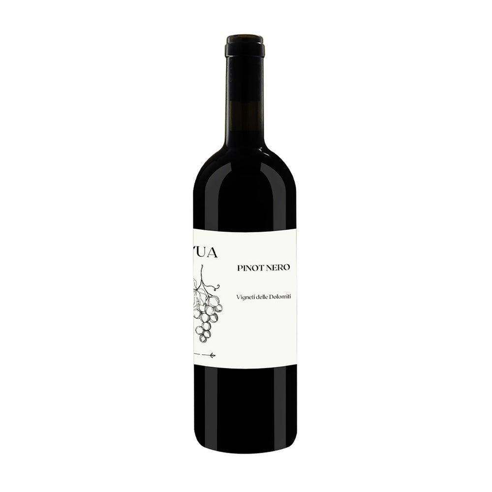 Pinot Noir Vigneti Delle Dolomiti IGT 2024 - L'Ua