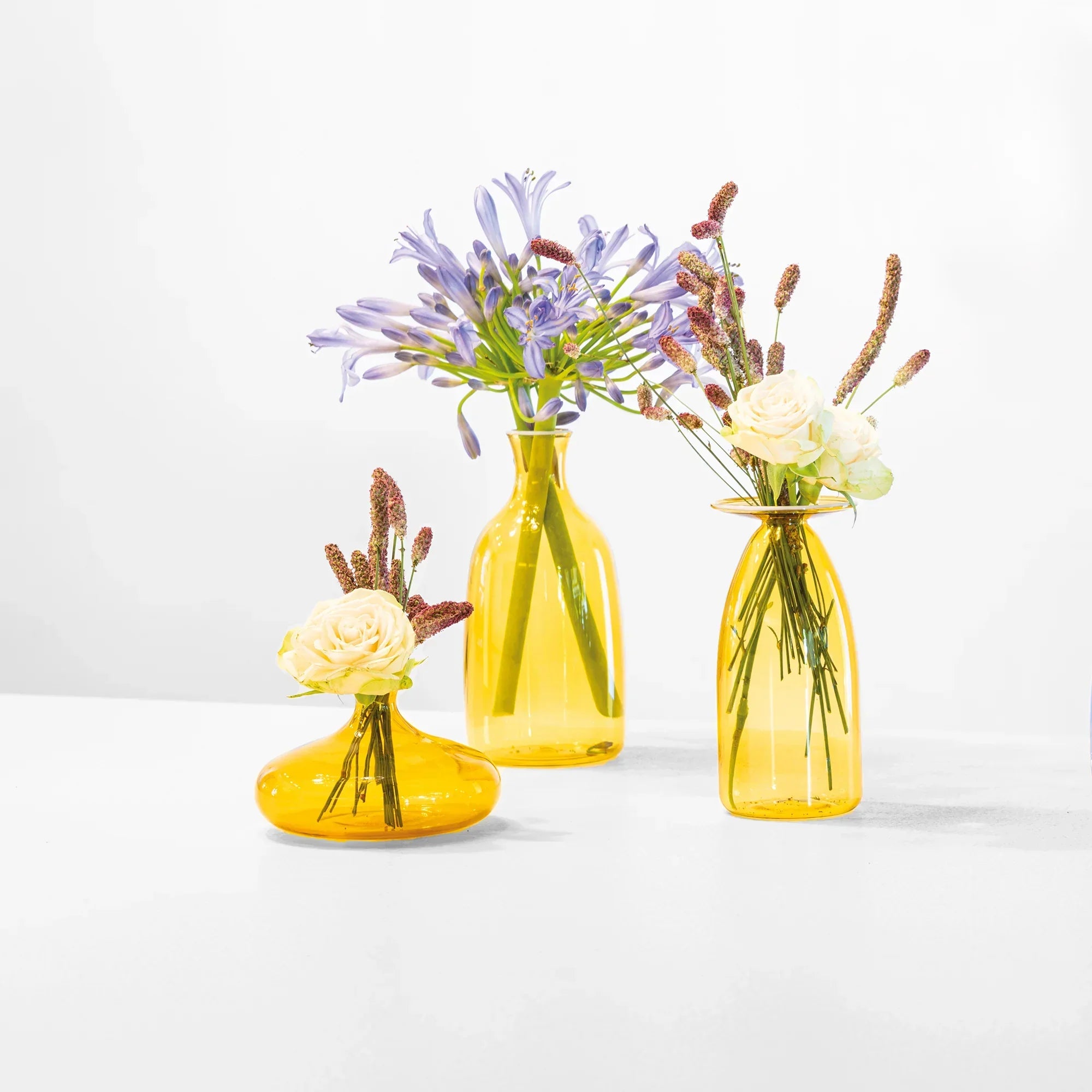 Zafferano Un Fiore