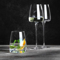 25 Cl Zieher Vision Side Bicchiere Vino In Vetro Borosilicato Set 2 Pezzi