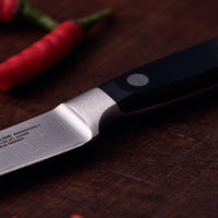 10 cm - Zwilling Professional S Coltello Spelucchino In Acciaio Inox