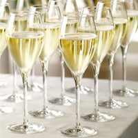 14 5 Cl Stolzle Lausitz Cuvee Calice Flute In Vetro Set 6 Pezzi