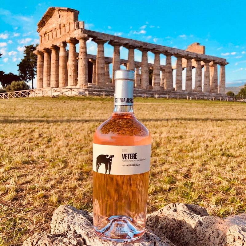 Vetere Paestum Igp 2023 Cantina San Salvatore 1988