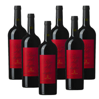 Pian Delle Vigne Rosso di Montalcino DOC 2023 Cantine Marchesi Antinori
