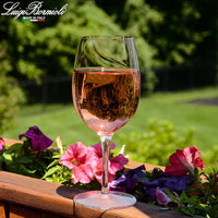 32 5 Cl Bormioli Luigi Aero Calice Vino Bianco In Vetro Set 6 Pezzi