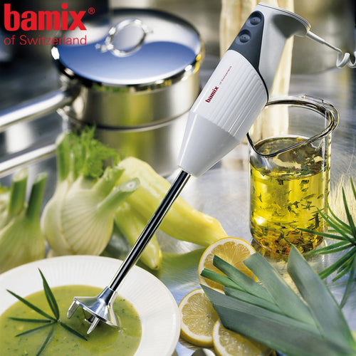 350 Watt Bamix G350 Frullatore A Immersione In Acciaio Inox
