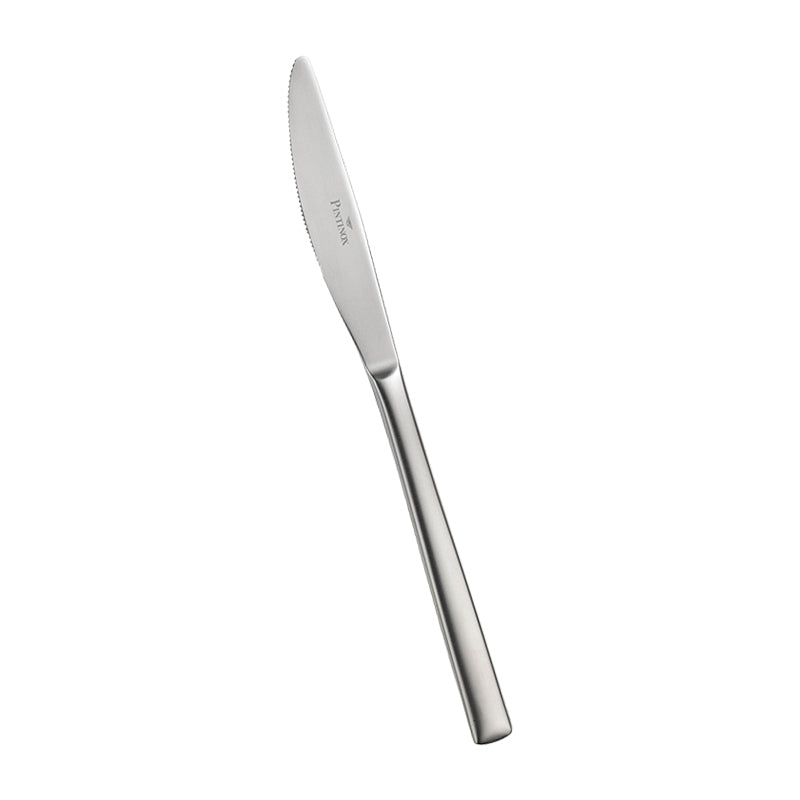 Pintinox Synthesis Coltello Frutta In Acciaio Inox Set 12 Pz