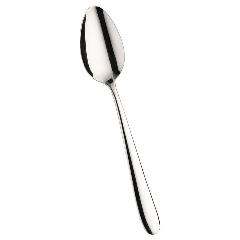 Pintinox Maitre Cucchiaione Servire In Acciaio Inox