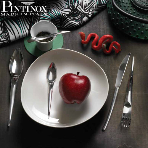 Pintinox Snake Cucchiaio Tavola In Acciaio Inox Set 12 Pz