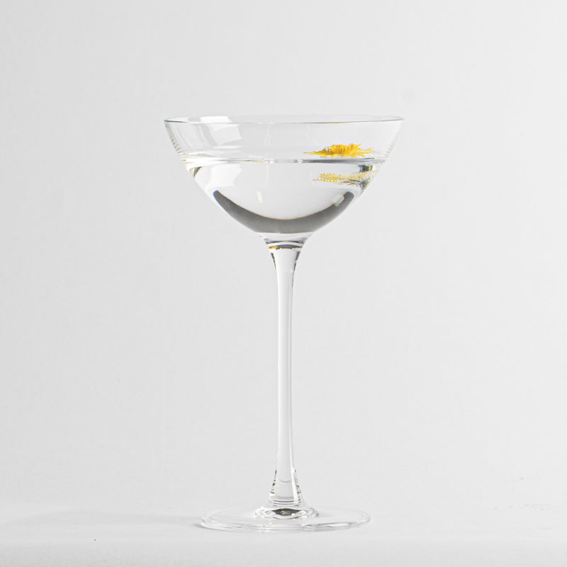 17 cl - Savage Cocktailglas aus Glas - Set 6 Stück