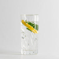 36 cl - Oasis Glass Drinkglas - Set van 6