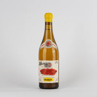 bottiglia di vino bianco con tappo giallo, etichetta bianca con scritte rosse e nere, sfondo bianco
