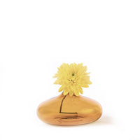 6 cm - Un Fiore Vase à fleurs en verre borosilicaté