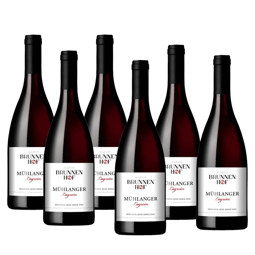 Sei bottiglie di vino rosso, etichettate con "Brunnen Hof", disposte in fila, con toni scuri e etichetta bianca.
