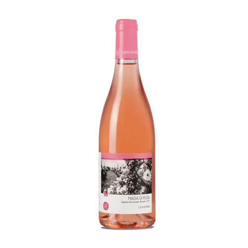 Magia di Rosa Rosato Liguria di Levante IGP 2025 - Cà Du Ferrà