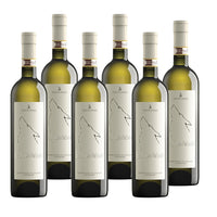 Sei bottiglie di vino bianco, etichetta chiara con disegno di un lupo, in un ambiente neutro.